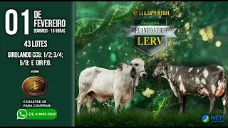 ✅ 4º LEILÃO VIRTUAL FAZENDA RECANTO VERDE - 01/02/2026 ⏰ 18:00h