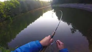 Seneca Lake West Virginia Trout Fishing