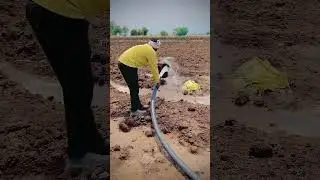 CRI 5 hp सोलर #farming