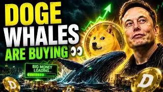 DOGE Coin Price Prediction 2026 🚨 DOGE Emergency Update Crypto News!
