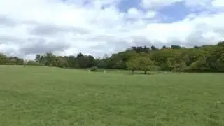 Gifford Wood - Future of Epping Forest