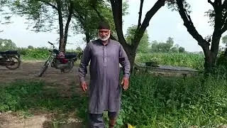 Imported fertilizer from spain In Pakistan 40-40||Phosphorus penta  oxide + Potassium Penta Oxide