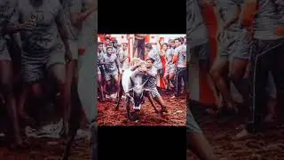 #alanganallurjallikattu #trending #2016 #trending #shorts #fashiontrends #ytviral