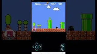 Super Mario Speedrun (Wrong Warp%)