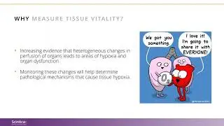 The 4 W&rsquo;s of Microcirculation and Tissue pO2