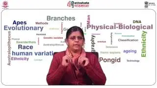 Hominization process (ANT)