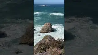 Dramatic Seashore & Soulful Melodies 🌊🎶 Escape to Serenity & Sound.
