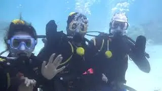 QuickSilver Scuba Diving #GreatBarriesReef #Cairns #PortDouglas #AgincourtReef #ScubaDiving