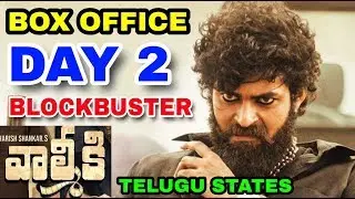 Gaddalakonda Gnesh (Valmiki) Box Office Collection Day 2 | BLOCKBUSTER | Telugu States