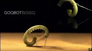 Bio-Robotics: Softer Smarter Robots (Harvard)
