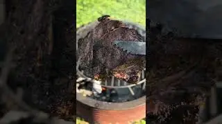 Day 315 Everyday Steak - Firepit Steak