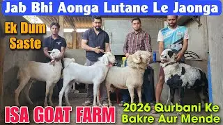 Jab Bhi Aonga Saste Bakre Mende Laonga At ISA GOAT FARM | 2026 Qurbani Goat Sheep In Bhiwandi 