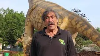 Ask Dino Don: What's The Biggest Dinosaur?