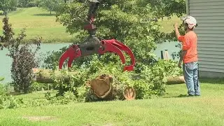 Quad City tree service crews continue storm cleanup