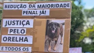 NÃO IMAGINEI QUE SERIA ASSIM |VLOG