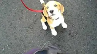 20070801