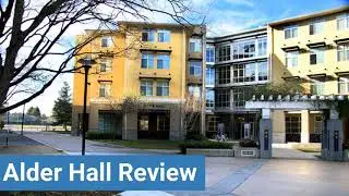 Davis College Alder Hall Review