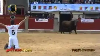 Acrobatic Bullfighting/jumping