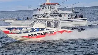 Raymarine совершает сверхбыстрый вход в залив Манаскуан — Point Princess возвращается в доки