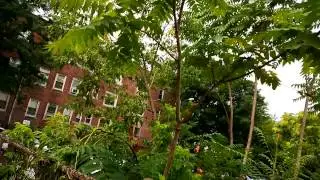 Nokia Lumia 1020: full-HD (1080p) video sample | Pocketnow