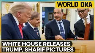 Pakistan's 'Trump Card': Pak Army Chief Asim Munir Showed Rare Earth Minerals To Trump At WH | DNA