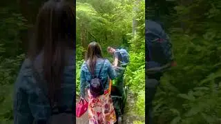 Travel from south to north island 🥰