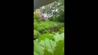 Healing Nature . Poetry for inner healing by Christine Wincott