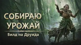 Друид травник: одним посевом собираю урожай | PoE 2 Билд