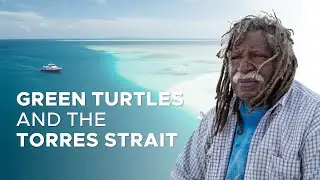 Green Turtles and the Torres Strait | Protecting a marine icon in the northern Great Barrier Reef