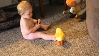 Wind up Chicken Attacks Baby