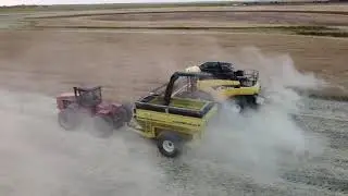 Harvesting river bottom ground just before sunset with CR960 and CR970 combines.
