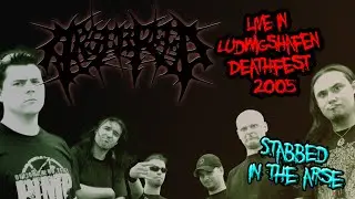 Arsebreed 