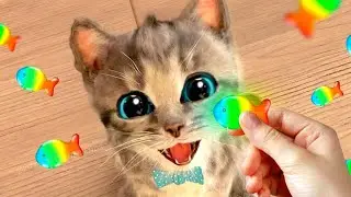 Cute Cat&rsquo;s Summer Adventure to Kitten&rsquo;s Birthday! ✨🐱🎈 Funny Animals stories with Crumbs