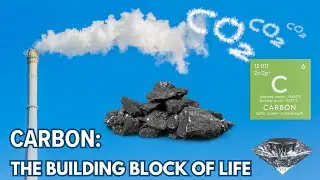 Carbon: The Building Block of Life