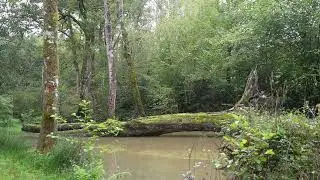 chez Solange &agrave; Lasseube chapitre 1