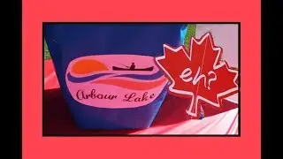 Arbour Lake Canada Day 2016