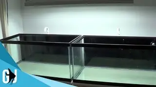 #149: I Bet You Thought the Fish Room was Done! - DIY Wednesday