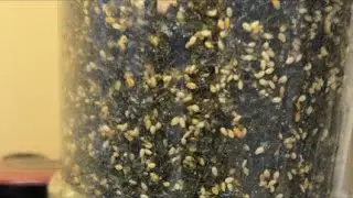 RAO_Ke is live! Come join me in the kitchen | sesame rice and seaweed