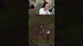 WoW zu einfach f&uuml;r Nici Stemmler #felikah #nicistemmler #worldofwarcraft #sauercrowd #wow #twitch