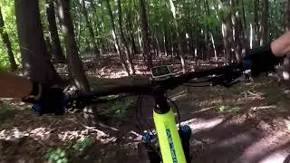Ibis Ripley LS Ride