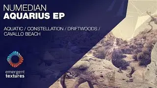 Numedian - Driftwoods [Emergent Textures]