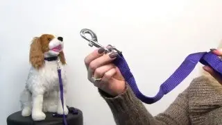 Barking Basics Dog Leash - Purple