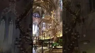 Inside Palma Catedral, Palma de Mallorca Spain