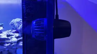 Product Question: Will an EcoTech VorTech MP10 work on 1/2” thick glass?