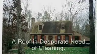 ROOF CLEANING RICHMOND VA roof stain removal RICHMOND ROOF CLEANING washing moss stain chesterfield
