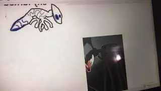 Sky lurked vs bird walker