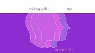PECKING ORDER - Wonderfully drifty, vintage arpeggio instrument for Ableton Live