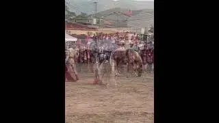 Javier Garc&iacute;a con Luca en Tazona