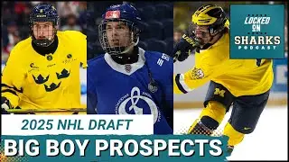 Will GM Mike Grier Continue To Add Size To The Pipeline? | Three Big Boys To Add To Sharks' List