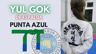 Forma Cinturón Verde PUNTA AZUL de ESPALDA | Yul Gok Tul
